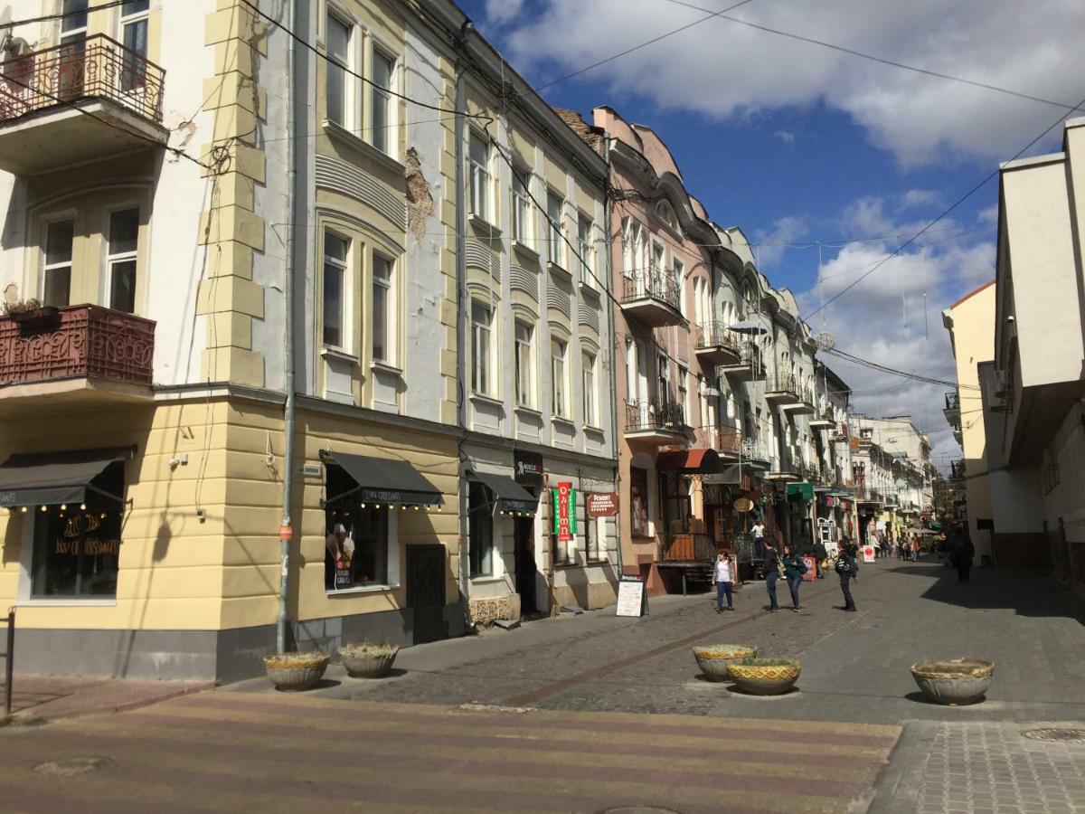 Затишна Квартира В Центрі Міста ترنوبل المظهر الخارجي الصورة